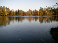 Foto Lars Ericsson 2008