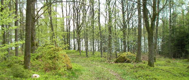 Sjöhagen på Hultets marker. Foto Lars Ericsson 2008