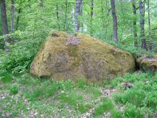 Sjöhagen, Hultets marker. Foto Carina Ingelsten Gustavsson